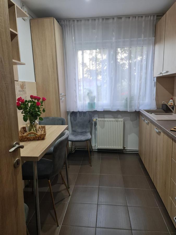 Apartament Modern Cristina&Jessica Mediaş Exteriér fotografie