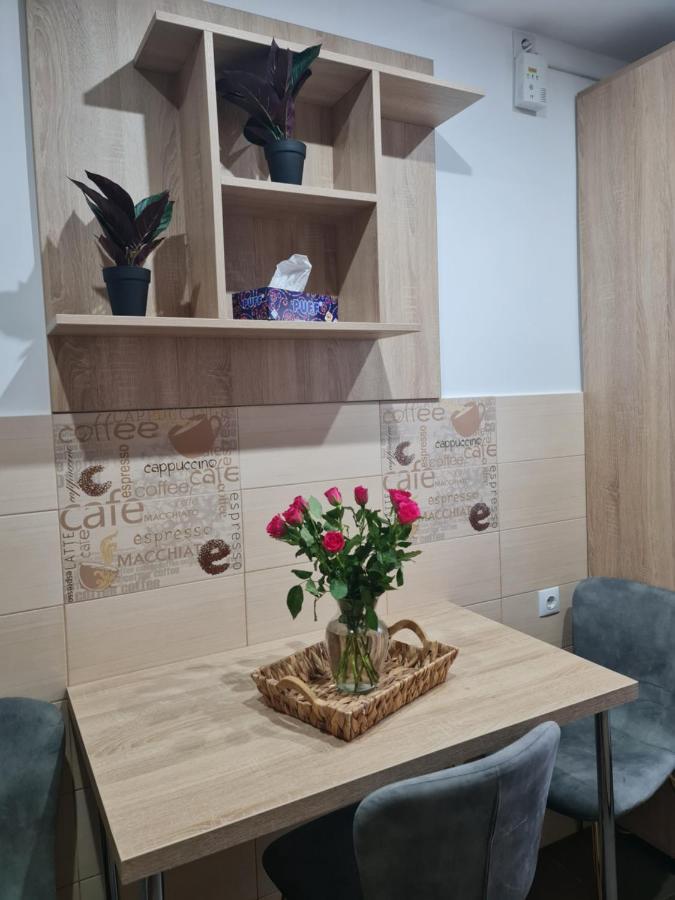 Apartament Modern Cristina&Jessica Mediaş Exteriér fotografie