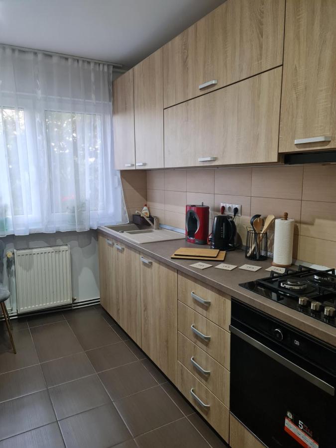 Apartament Modern Cristina&Jessica Mediaş Exteriér fotografie