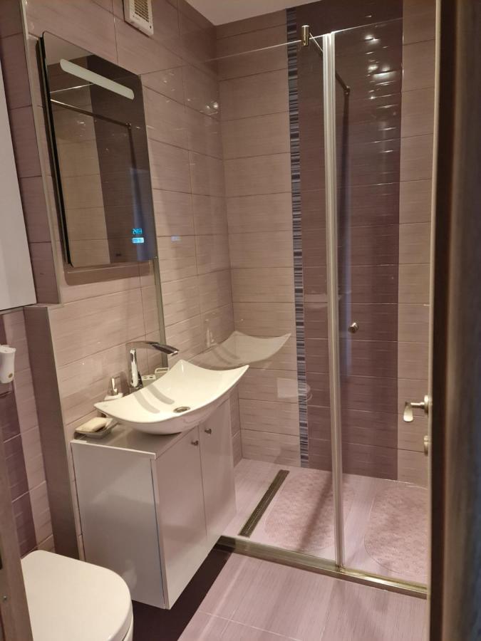 Apartament Modern Cristina&Jessica Mediaş Exteriér fotografie